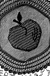 Apple Potholder Pattern