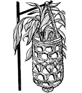 Jar Hanging Planter Pattern #865