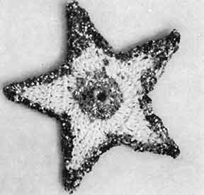 Glitter Star Ornament Pattern