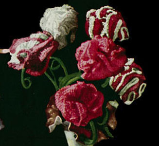 Carnation Flower Pattern