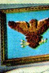 eagle picture