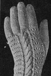 Womens Gloves pattern