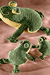 Crocheted Frogs