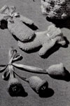 Mitts, Carriage Bells & Slippers