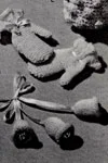 Mitts, Carriage Bells & Slippers