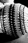 Toy Ball