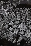 Diamond Setting Doily