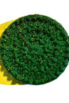 Round Pillow