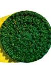 Round Pillow