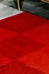 Living Room Rug