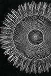 Sea Spray Doily