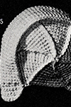 Crocheted Aviator Cap #6025