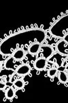 Lacy Border