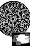 Circular Motif