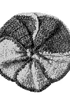 Pansy Potholder