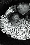 Round Doily