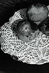 Round Doily