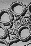 Doily Edging #8278