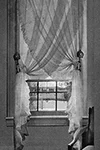 Curtains #985