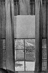 Curtains #989