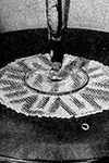 Pedigree Doily