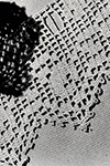 Filet Crochet Edging #8352