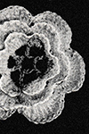 Rosette Motif #8415-A