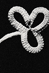 Shamrock Motif #8415-B