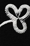 Shamrock Motif #8415-B