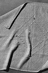 Carriage Cover