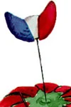 Tricolor Pin Pattern