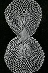 Butterfly Bow