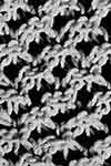 Open Star Stitch