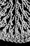Fern Lace Stitch