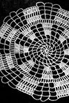 Lace Doily