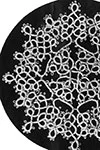 Tatting Doily