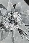 Giant Lily Boutonniere