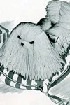 Fluffy Dog