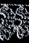 Furbelow Edging Pattern #1813
