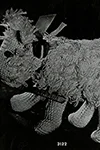 Toy Fuzzy Dog