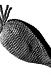 Carrot Potholder