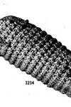 Corn Potholder