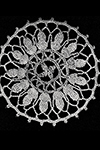 Round Medallion