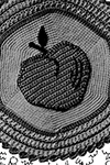 Apple Potholder