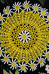 Daisy Doily