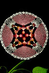 Cameo Girl Doily