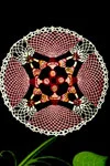 Cameo Girl Doily