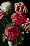 Carnation Flower