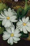 Daisy Corsage