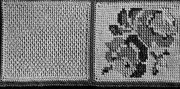 Bed of Roses Afghan Pattern swatch